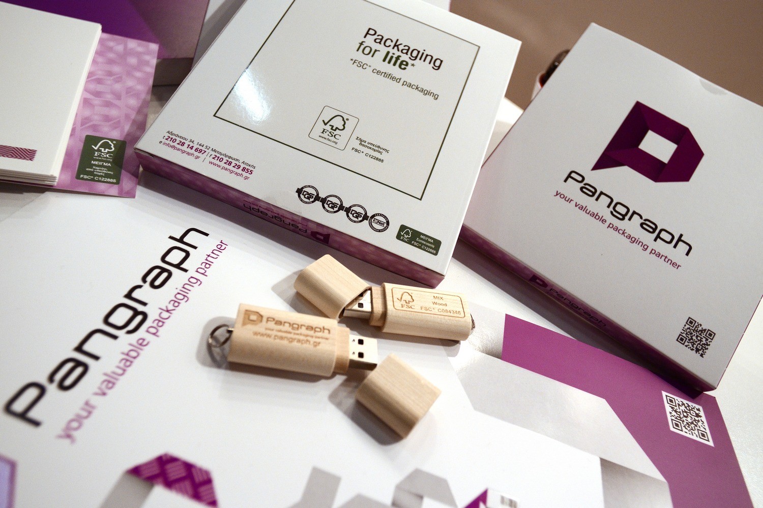 FLASH-USB-FSC Pangraph